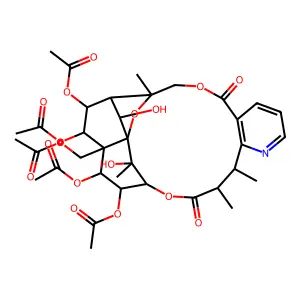 Neoeuonymine structure