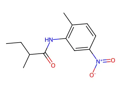 2-methyl-N-(2-methyl-5-nitrophenyl)butanamide structure
