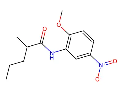 N-(2-methoxy-5-nitrophenyl)-2-methylpentanamide structure