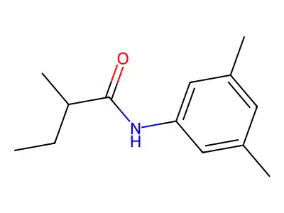 N-(3,5-dimethylphenyl)-2-methylbutanamide structure