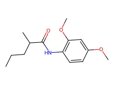 N-(2,4-dimethoxyphenyl)-2-methylpentanamide structure
