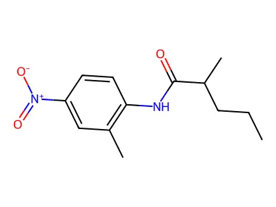 2-methyl-N-(2-methyl-4-nitrophenyl)pentanamide structure