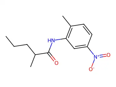 2-methyl-N-(2-methyl-5-nitrophenyl)pentanamide structure
