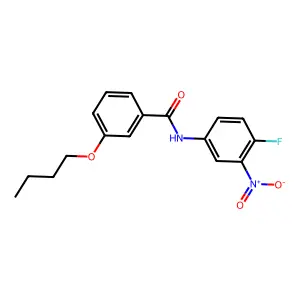 3-butoxy-N-{4-fluoro-3-nitrophenyl}benzamide structure