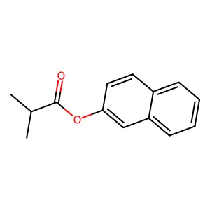 Naphthalen-2-yl 2-methylpropanoate structure