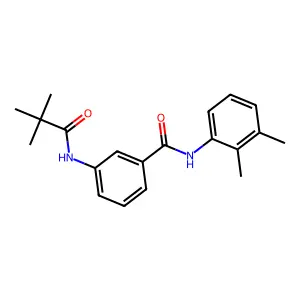 N-(2,3-dimethylphenyl)-3-(2,2-dimethylpropanoylamino)benzamide structure