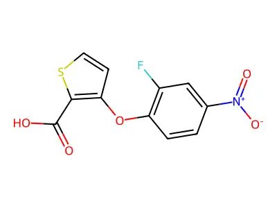 3-(2-Fluoro-4-nitrophenoxy)thiophene-2-carboxylic acid structure