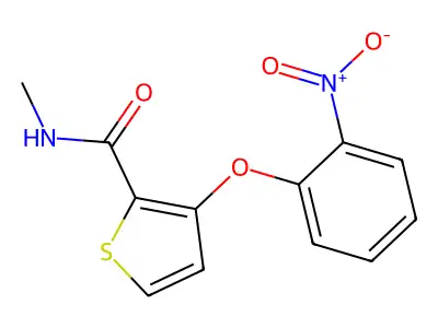 N-methyl-3-(2-nitrophenoxy)thiophene-2-carboxamide structure