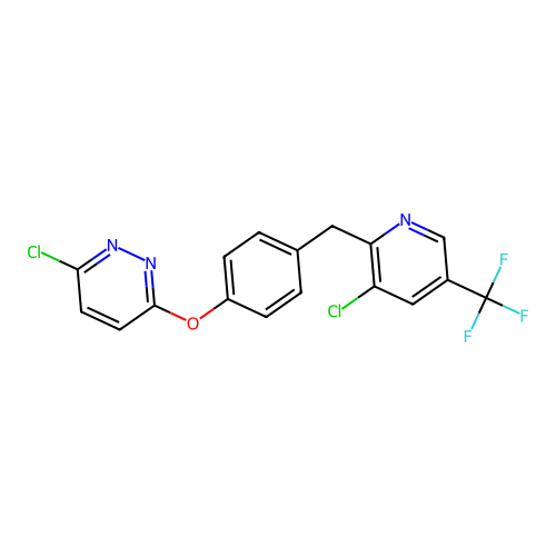 Bionet1_003098 structure