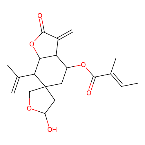 Confertiphyllide structure