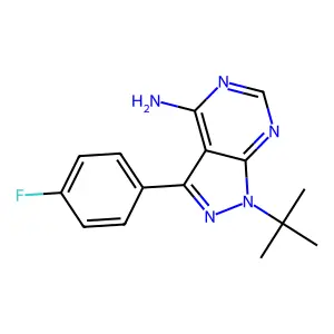 1-(tert-butyl)-3-(4-fluorophenyl)-1H-pyrazolo[3,4-d]pyrimidin-4-amine structure