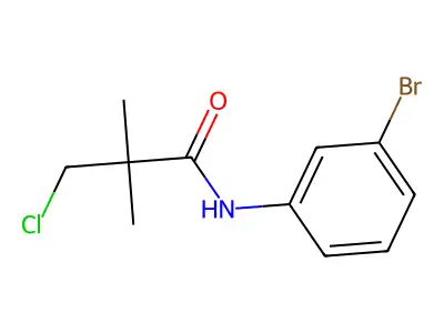 N-(3-bromophenyl)-3-chloro-2,2-dimethylpropanamide structure