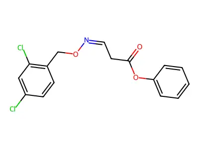 Phenyl 3-[(2,4-dichlorophenyl)methoxyimino]propanoate structure