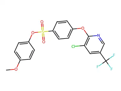 2M-028 structure