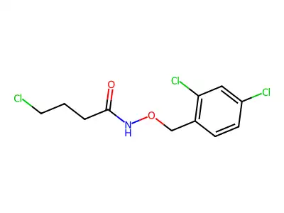 4-chloro-N-[(2,4-dichlorophenyl)methoxy]butanamide structure