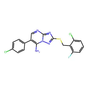 4D-095 structure