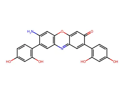 Lacmoid structure