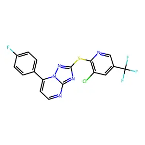 2L-005 structure