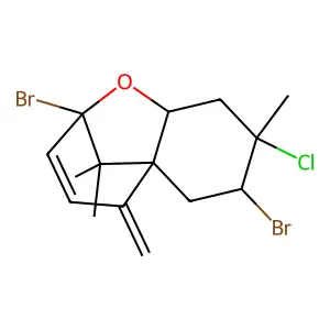 Pacifidiene structure