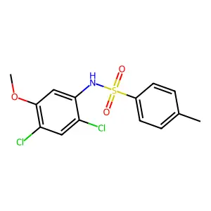 N-(2,4-dichloro-5-methoxyphenyl)-4-methylbenzenesulfonamide structure