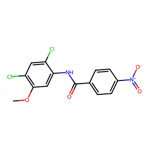N-(2,4-dichloro-5-methoxyphenyl)-4-nitrobenzamide structure
