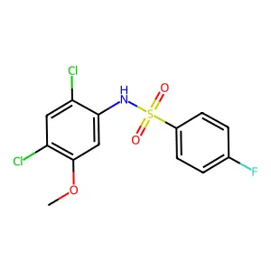 N-(2,4-dichloro-5-methoxyphenyl)-4-fluorobenzenesulfonamide structure