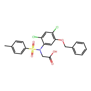 2-{5-(Benzyloxy)-2,4-dichloro[(4-methylphenyl)sulfonyl]anilino}acetic acid structure