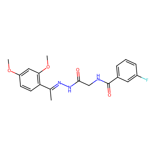 C19H20FN3O4 structure