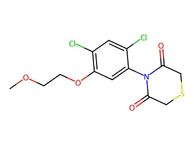 4-[2,4-Dichloro-5-(2-methoxyethoxy)phenyl]thiomorpholine-3,5-dione structure
