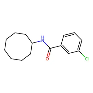 3-chloro-N-cyclooctylbenzamide structure