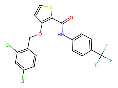 8H-407S structure