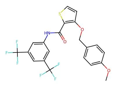 8H-446S structure