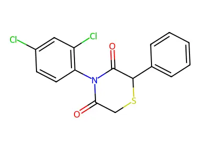 4-(2,4-Dichlorophenyl)-2-phenylthiomorpholine-3,5-dione structure