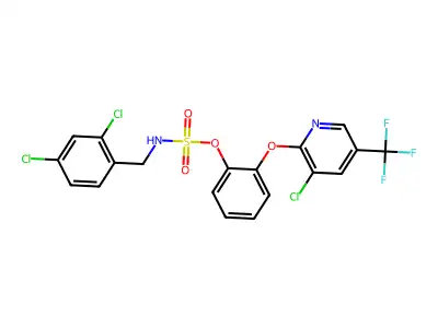 9J-028 structure