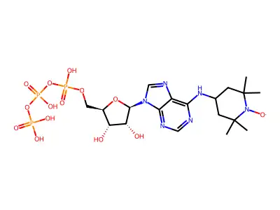 6-(2,2,6,6-Tetramethylpiperidine-1-oxyl)-adenosine triphosphate structure