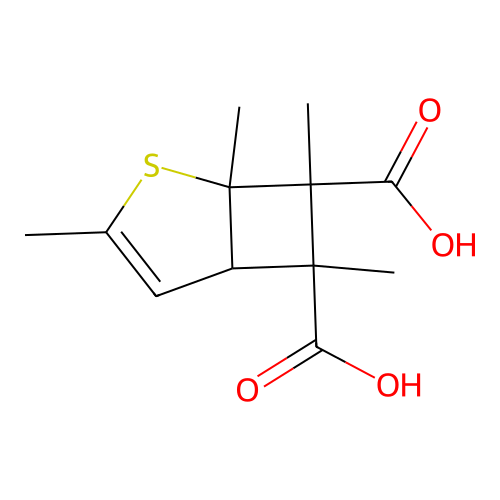 2-Thiabicyclo[3.2.0]hept-3-ene-6,7-dicarboxylic acid, 1,3,6,7-tetramethyl- structure