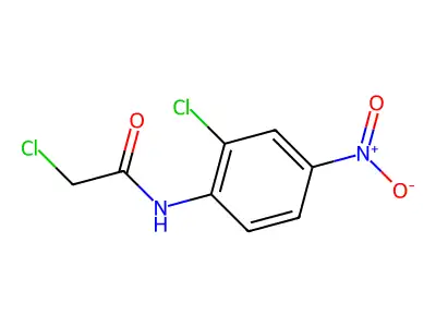 2-chloro-N-(2-chloro-4-nitrophenyl)acetamide structure