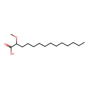 2-Methoxytetradecanoic acid structure