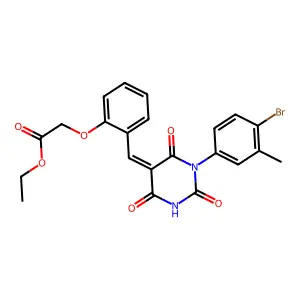 BIM-0043218.P001 structure