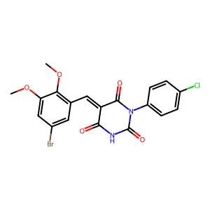 BIM-0048845.P001 structure