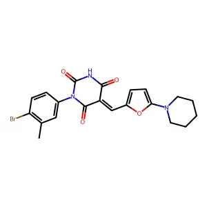 BIM-0042880.P001 structure