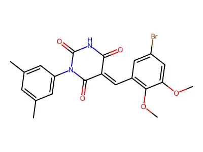BIM-0043784.P001 structure