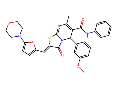 BIM-0007173.P001 structure