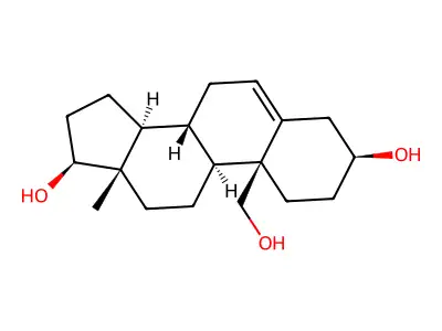 NB 06 structure