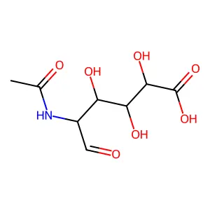 N-乙酰葡糖胺糖醛酸 structure