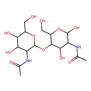 N-acetyl-beta-D-glucosaminyl-(1->4)-N-acetyl-alpha-D-glucosamine structure