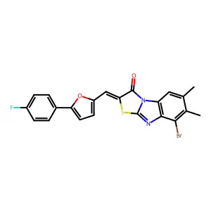 BIM-0041873.P001 structure