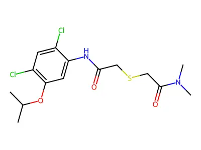 Bionet1_002621 structure