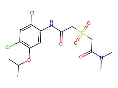 2-{[2-(2,4-dichloro-5-isopropoxyanilino)-2-oxoethyl]sulfonyl}-N,N-dimethylacetamide structure