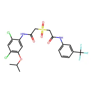 10L-338S structure